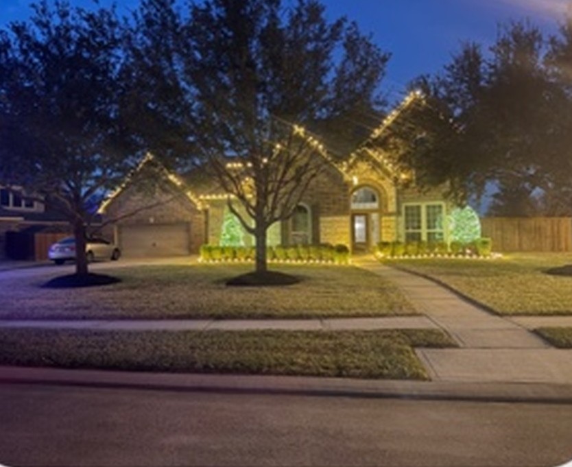 Front yard trees lit for the season