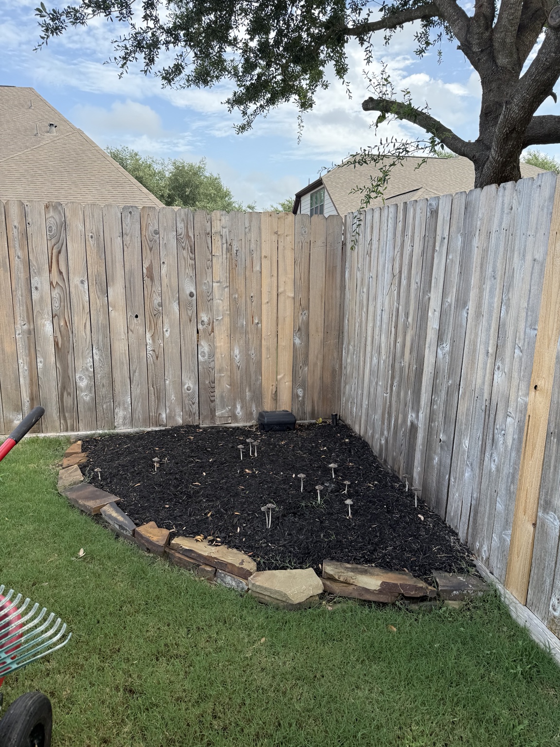 Before: Landscape Bed Refresh — Landscaping